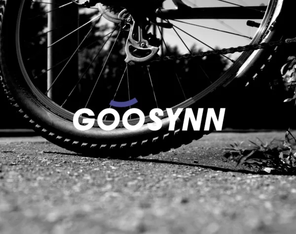 mtb hubs goosynn