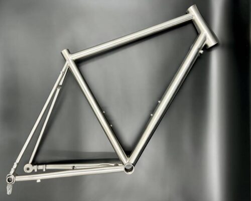 waltly titanium frame build special needs and 1 step ahead