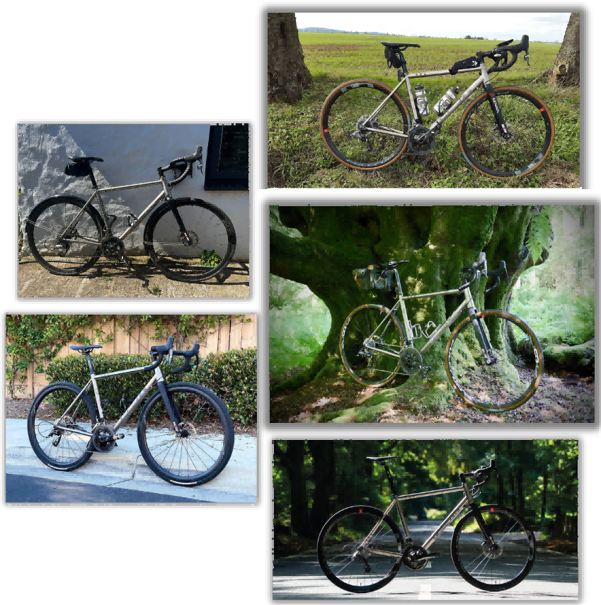waltly titanium frame build special needs and 1 step ahead